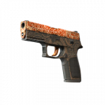 StatTrak™ P250 | Artwork (Field-Tested)