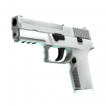 P250 | Whiteout (Factory New)