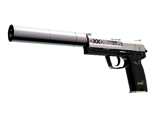 StatTrak™ USP-S | Printstream (WELL-WORN)