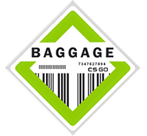 the-baggage-collection