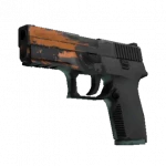 StatTrak™ P250 | Splash (Field-Tested)